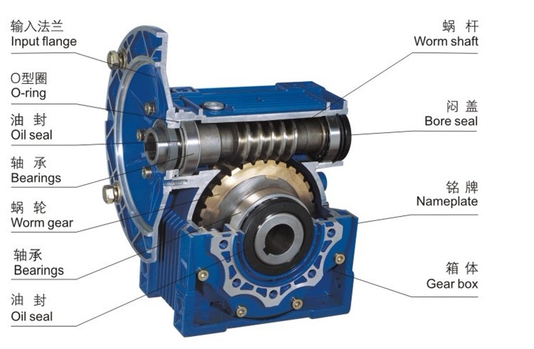 蜗杆减速机截面图 蜗杆减速机截面图